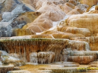 Travertine terraces at Palette Spring