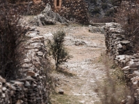 La Vereda, detalle de una calle.