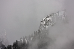 Foggy morning in Grand Teton National Park