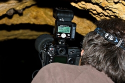 Trabajando en condiciones extremas - Murciélagos en cuevas de Girona 2007