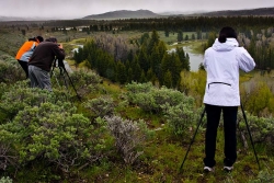 Trabajando el paisaje - Taller de Yellowstone 2008