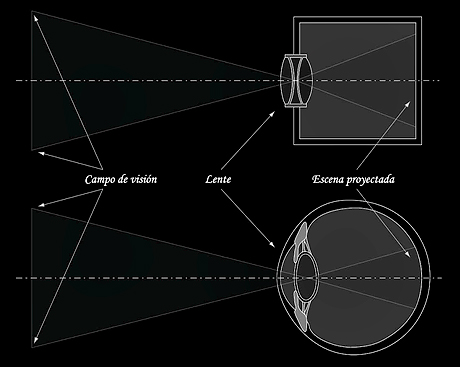 Figura 2: Arriba imagen creada por la luz visible en el plano focal de una cámara fotográfica, abajo el ojo humano. Se puede ver que el ojo es un tipo de cámara simple.